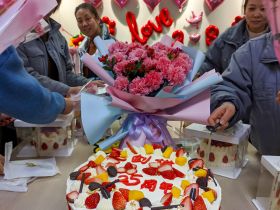 OD官网-OD(中国)一站式服务平台
举办三八妇女节活动